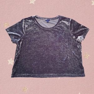 Aeropostal Cropped Crushed Blue Velvet Top
